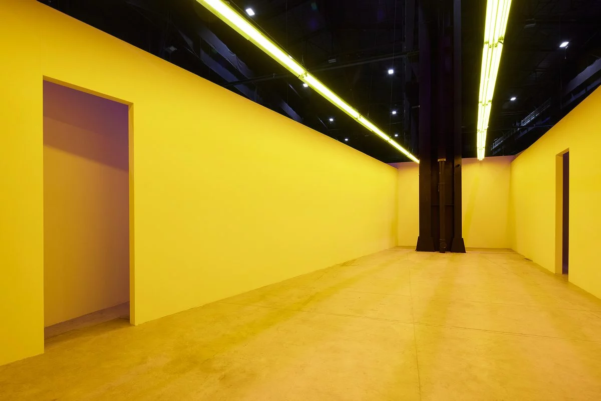 Bruce Nauman. Neons Corridors Rooms