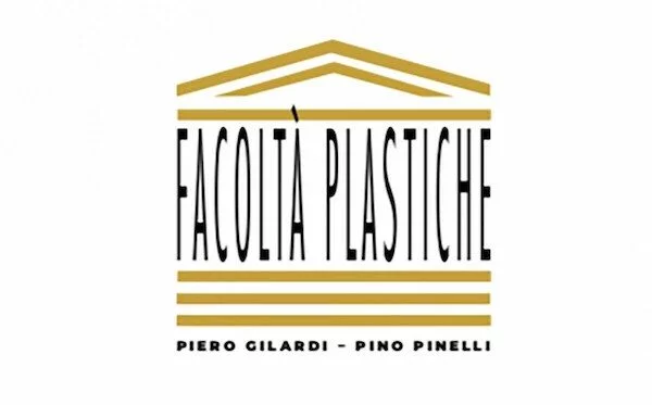 Facoltà plastiche. Piero Gilardi / Pino Pinelli