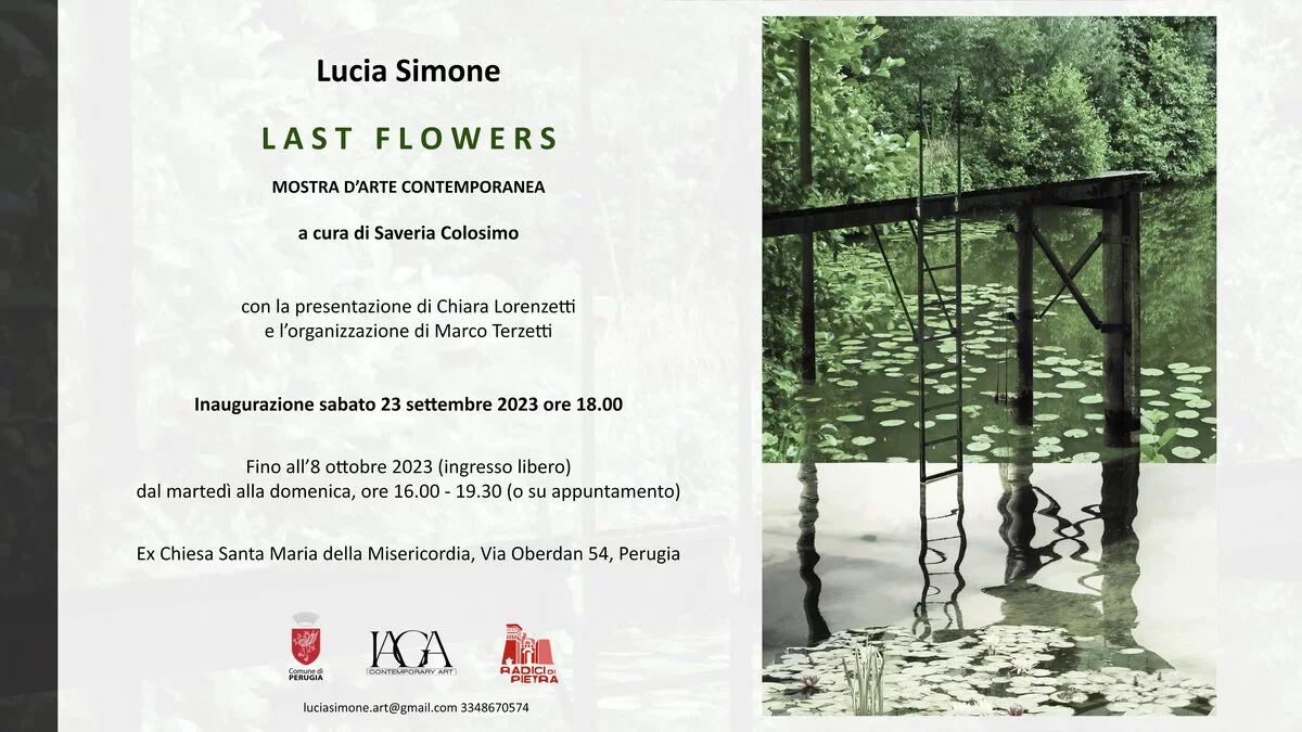 Lucia Simone. Last Flowers