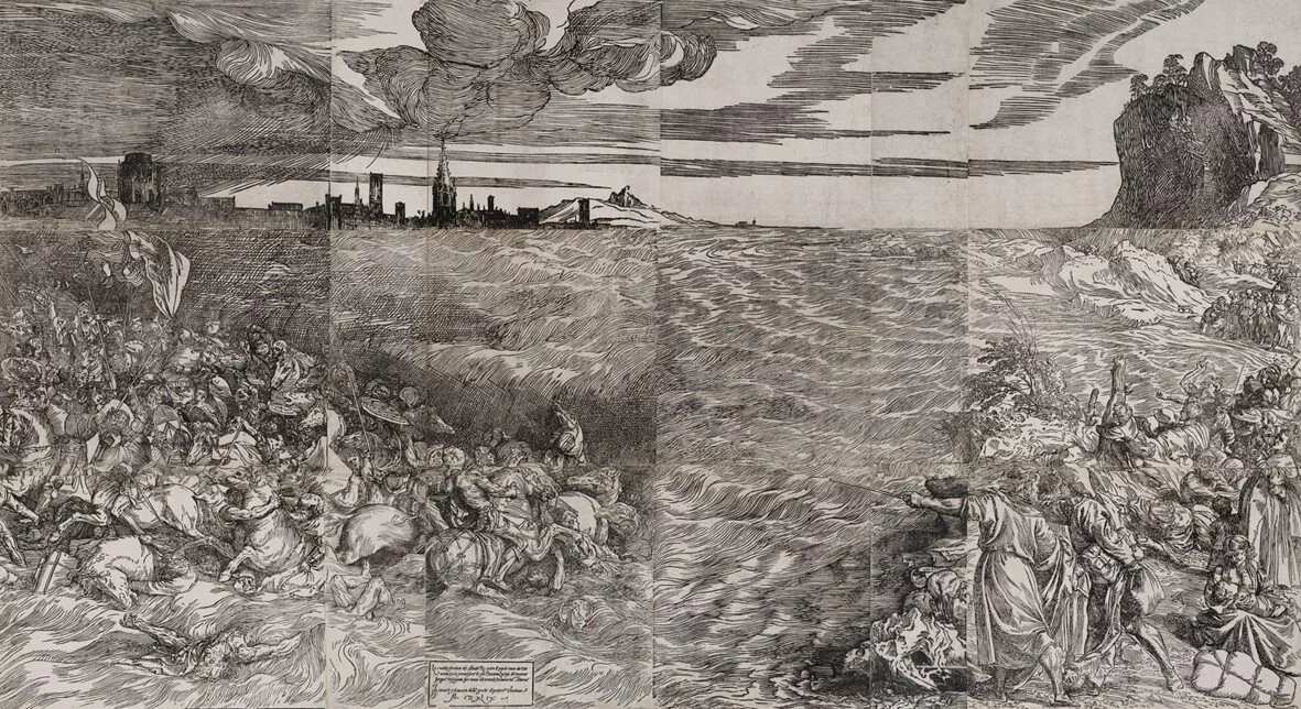 Rinascimento in bianco e nero. L'arte dell'incisione a Venezia (1494-1615) | Ca' Rezzonico