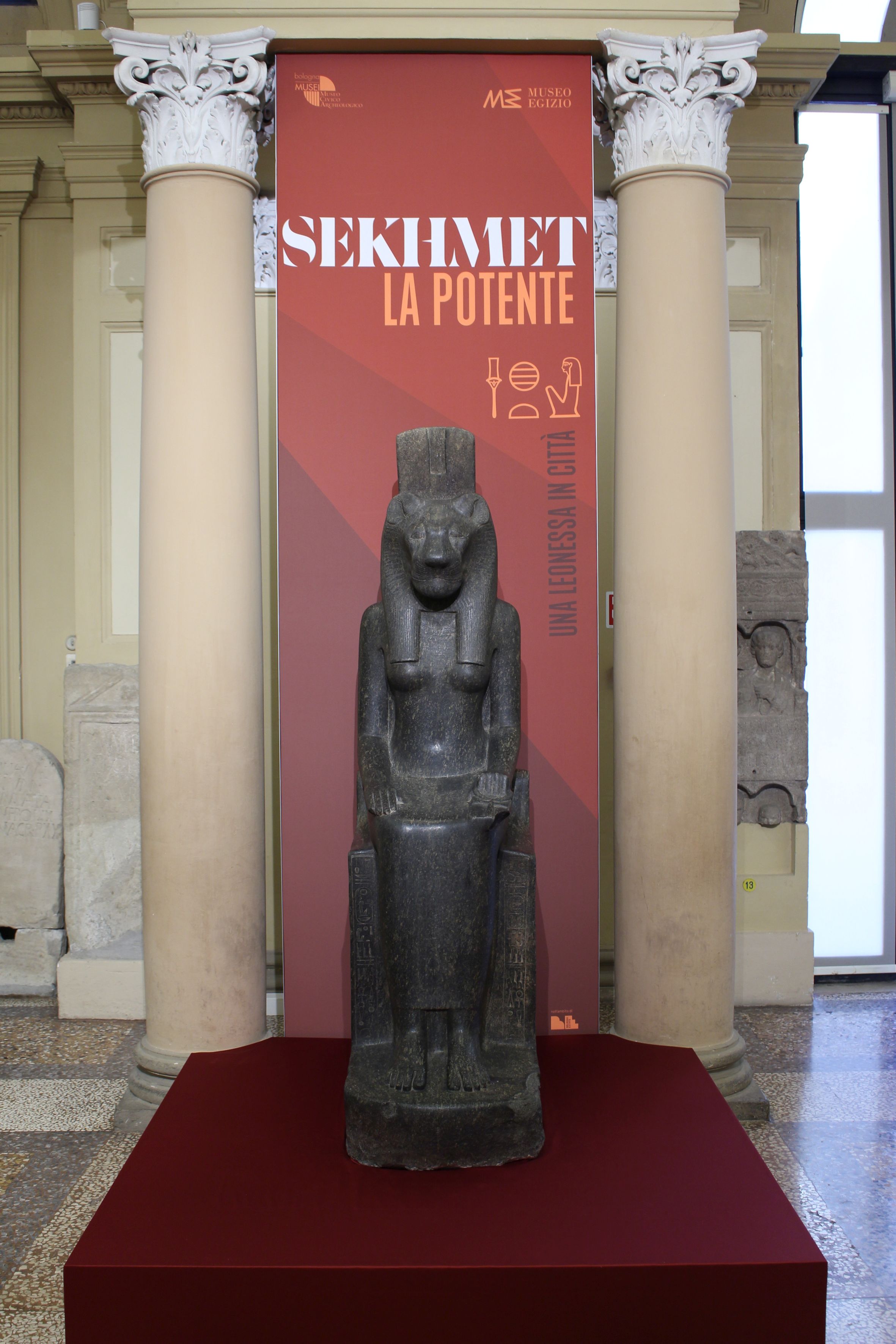 Sekhmet, la potente. Una leonessa in città