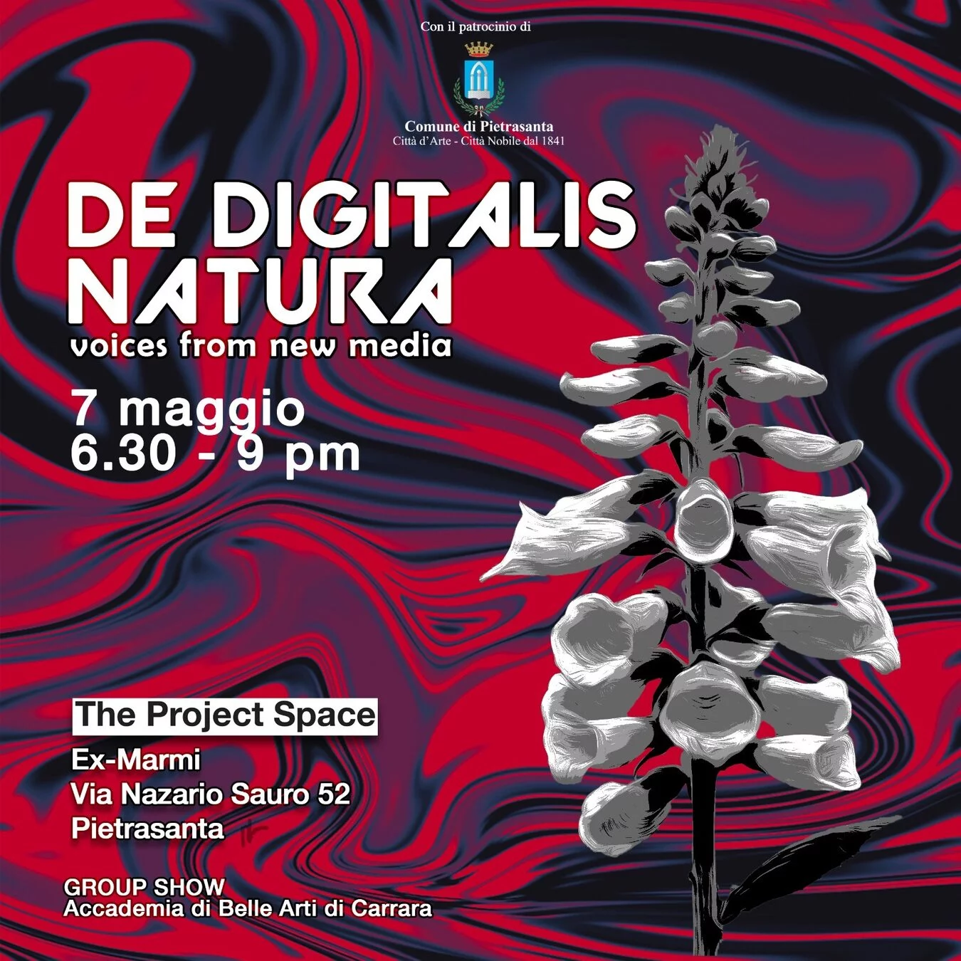 The Digitalis Natura. Voices from new media