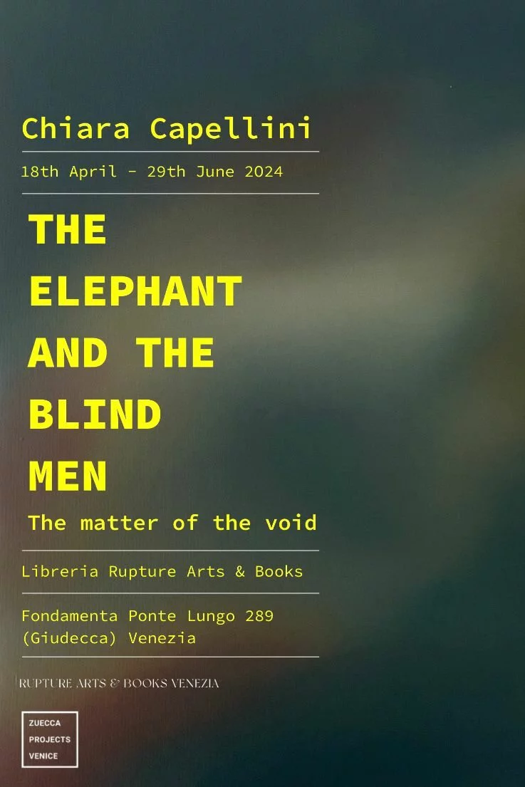 Chiara Capellini. The Elephant and the Blind Men. The Matter of the Void