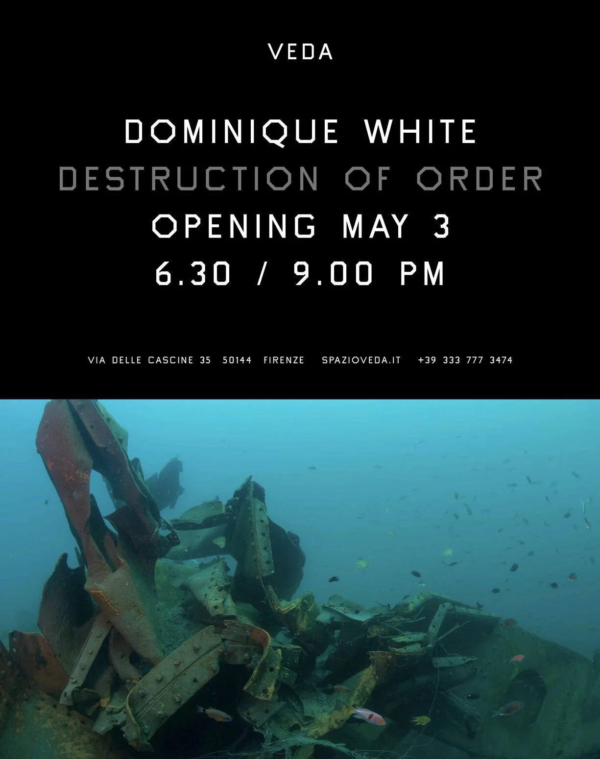 Dominique White. Destruction of Order