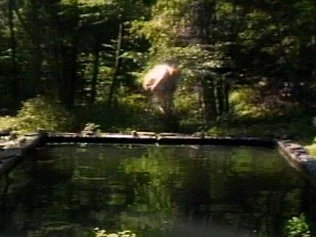 Bill Viola. The Reflecting Pool, 1977–9
Videotape, color, mono sound
Projected image size: 213,5x160 cm
7 minutes
Performer: Bill Viola
Photo: Kira Perov © Bill Viola Studio