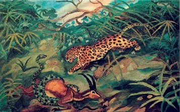 Giaguaro con gazzella e serpente 1948 olio su tavola di compensato 45 x 71 cm collezione privata Reggio Emilia