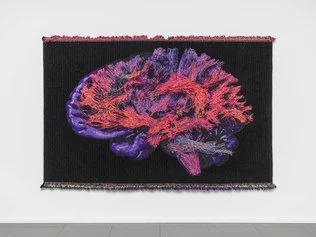 Christian Fogarolli
Recycled Brain, 2020
Plastica riciclata e tessuti naturali
cm 280x190