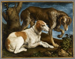Jacopo Bassano, Ritratto di due cani, 1548-1550, Paris,
Musée du Louvre, Department of Paintings. Credit: © Parigi, Louvre/RMN-GrandPalais/StéphaneMaréchalle/Dist. Foto SCALA, Firenze, 2021