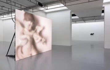 2. Diego Marcon. Glassa, Installation View, Centro per l’arte contemporanea Luigi Pecci, immagini di Andrea Rossetti ,  images by Andrea Rossetti