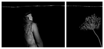 Ilaria Feoli, Similitudine, 2019, stampa ai sali d’argento, 24x30 cm e 30x40 cm (opera unica)