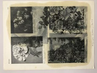 A.Spranzi, Foliage pagina 228, 2019, olio su pagina di libro, oil on book paper, cm.24,8x18,5, retro
