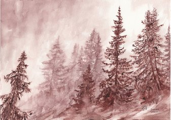 (Alberi nella nebbia) Vino su carta di cotone Gabriele Ciot  lagrein-chianti 26x36cm 2019