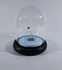 Assirelli   Bert   opera   Infinito   10 cm di diametro, gesso, olio, scultura in resina, mosca   2023