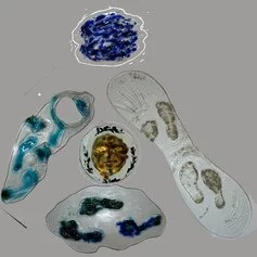 Bruno Ceccobelli ''Liquidi Fossili'' 2012, tecnica mista su vetro pressofuso, misure site specific