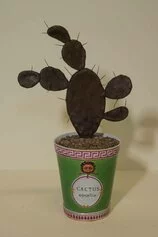 Cactus opuntia, dopo il restauro. Copyright Foto Opificio delle Pietre Dure