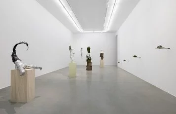 Ambra Castagnetti, la Zona, installation view at Francesca Minini,
Milan
Courtesy Francesca Minini, Milan
Ph. Andrea Rossetti