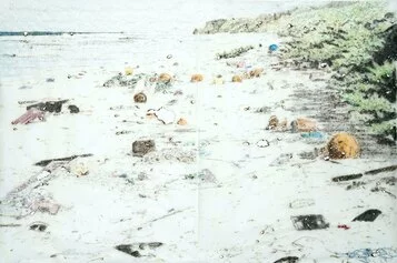 Davide Cantoni,Henderson's Island,2017,disegno bruciato,cm122x184,courtesy l'artista e BLINDARTE