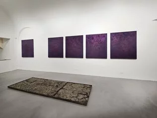 Eltjon Valle, IgnoteTerre, Violetti Arte Contemporanea, 02