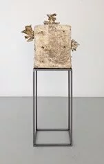 Francesco Fossati, Substrato 01, 2022, dehydrated substrate, mycelium and mushrooms, 59 x 57 x 27 cm aa