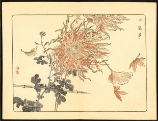 Giappone: disegno e design | Dai libri illustrati Meiji ai manifesti d’arte contemporanea