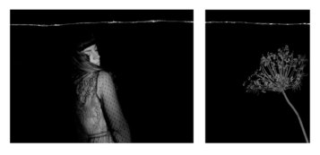 Ilaria Feoli, Similitudine, 2019, stampa ai sali d’argento, 24x30 cm e 30x40 cm (opera unica)