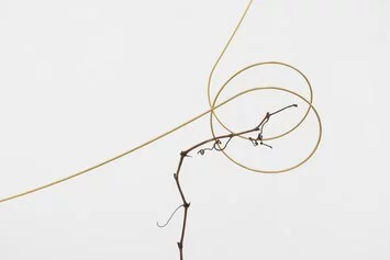 Joana Escoval, Subtle vital function of the body, 2023
(detail) Courtesy of the artist and Vistamare, Milano / Pescara.