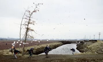 Jeff Wall, A Sudden Gust of Wind (after Hokusai), 1993, Transparency in lightbox, 229 x 377 cm Glenstone Museum, Potomac, Maryland, © Jeff Wall