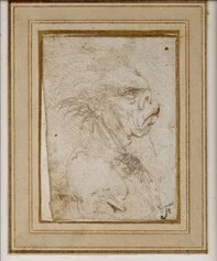 Leonardo da Vinci e bottega
Quattro teste grottesche (part.) 1495-1505 c.
Penna e inchiostro, B: 64 × 47 mm
The Devonshire Collection, Chatsworth