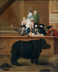 Pietro Longhi. Il Rinoceronte - Venezia, Ca’ Rezzonico, Museo del Settecento veneziano