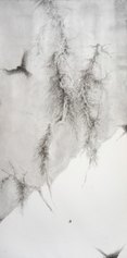 Mengjie HuangHerbs and wood in vacuum 05, Ink on paper,80cmx170cm. 2021