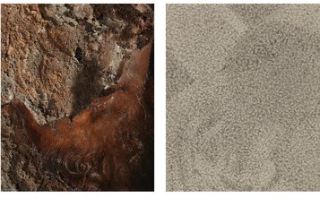 sinistra: Nicola Samorì, Le spine, 2021, olio su onice, cm 50x40 (dettaglio)
destra: Franco Pozzi, in venturum tempus prospectus, 2021, matita su carta, cm 7,5 x 6 (dettaglio)