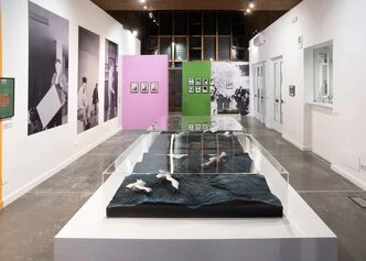 Car Crash. Piero Gilardi e l’arte povera. Installation view of the exhibition at PAV – Parco Arte Vivente, 2023. Ph. Leo Gilardi. Courtesy  PAV – Parco Arte Vivente