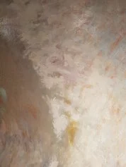 Palpitazione, T 14, 2013, olio su tela sagomata, 200x275cm (dettaglio), Courtesy l'artista