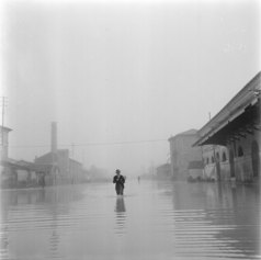 Un fotoreporter con la sua macchina fotografica cammina nell'acqua durante l'alluvione nelle campagne del Polesine; alle sue spalle in lontananza un operatore con cinepresa, 17 novembre 1951 ©Archivio Publifoto Intesa Sanpaolo