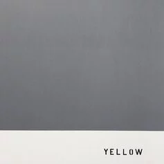 Radomir Damnjan, Disinformazione (Yellow)