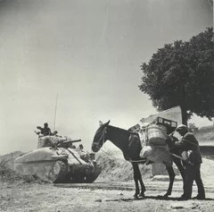 Robert Capa, Asinello e carro armato, 20x20 cm, 1943, Courtesy Collezione Guido Bertero, © Robert Capa | Magnum Photos