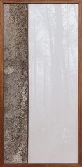 Roberto Ghezzi, Progetto per naturografie, elementi naturali e tecnica mista su legno, 73x35 cm, Photo Courtesy l'artista