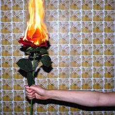 Ryan Mendoza, Burning Rose