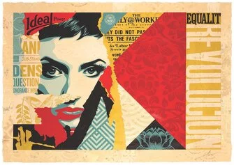 Shepard Fairey OBEY Ideal Power 2018 dition 3, 12 Silkscreen and Mixed Media Collage on Paper HPM 121 x 85 cm