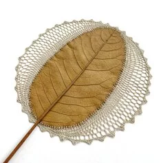 Susanna Bauer   Breathing lV (unframed 3), 2023, magnolia leaf cotton thread, 40 x 40 cm (framed), (photo, Susanna Bauer)