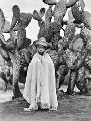Tina Modotti, Bambino davanti a un cactus, Messico, 1928 ca