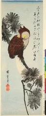 Utagawa Hiroshige, Gufo cornuto su un ramo di pino crescente, 1843 47, silografia policroma nishikie, 35,1x12,4