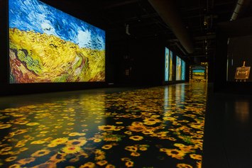 Van Gogh. Il Sogno Immersive Art Experience